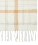 Women's Pop Plaid Fringe-Trim Scarf