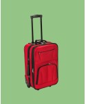 4-Pc. Softside Luggage Set